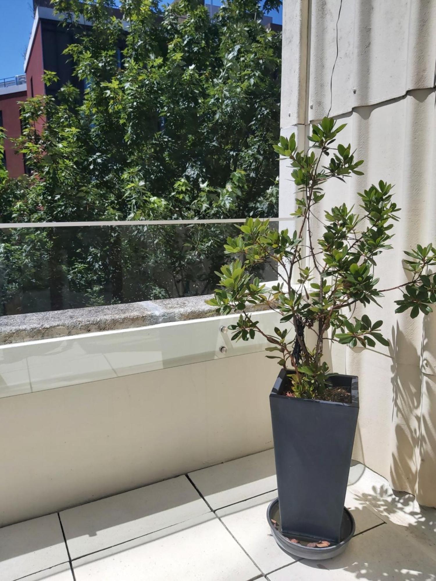 Porto Terrace Apartment Exterior photo